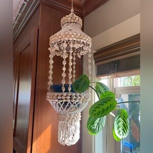 Cowrie 1970s Vintage Mid Century Hanging Shell Macrame Plant Hanger